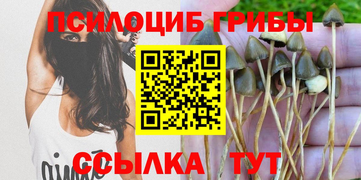 Воркута  Псилоцибиновые грибы мухоморы  Вход с VPN 