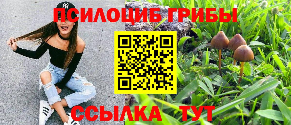 Галлюциногенные грибы мицелий Воркута